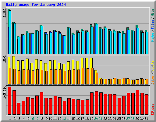 Daily usage for January 2024