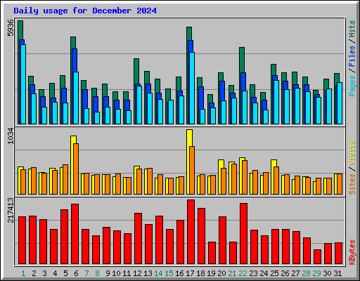 Daily usage for December 2024