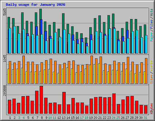 Daily usage for January 2026