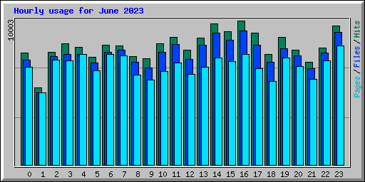 Hourly usage for June 2023