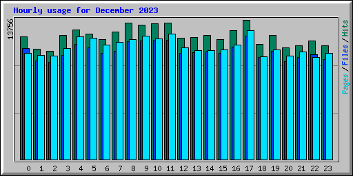 Hourly usage for December 2023
