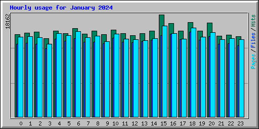 Hourly usage for January 2024