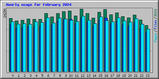 Hourly usage for February 2024