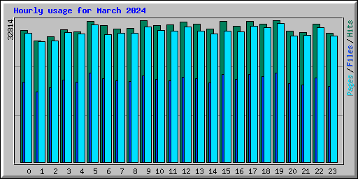 Hourly usage for March 2024