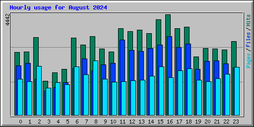 Hourly usage for August 2024