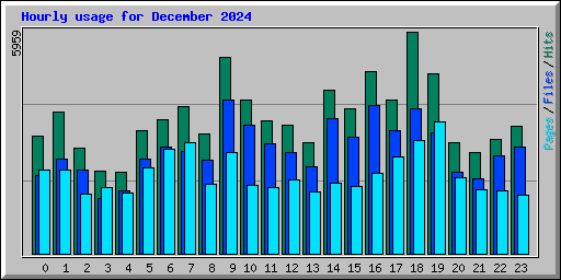 Hourly usage for December 2024