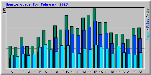 Hourly usage for February 2025