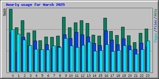 Hourly usage for March 2025