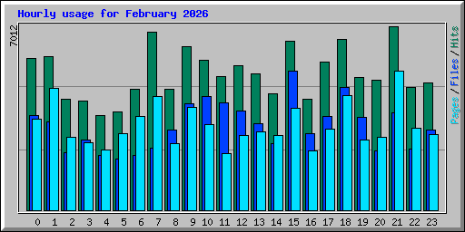 Hourly usage for February 2026